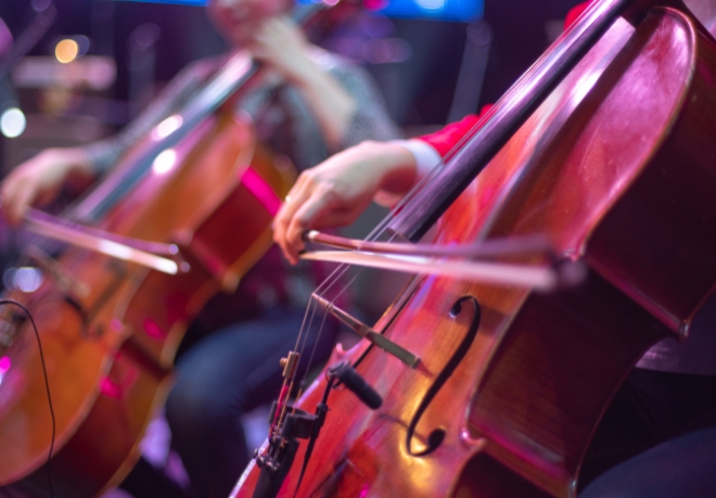 164 High School Orchestra Students Make All-Region