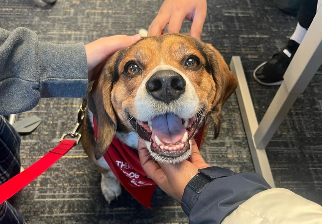 Spend a Day With Tucker, Stafford’s Therapy Dog